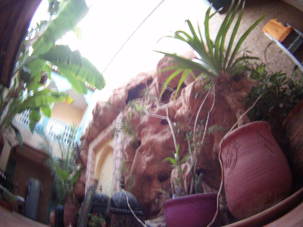 Riad Dar Mchicha Маракеш Екстериор снимка