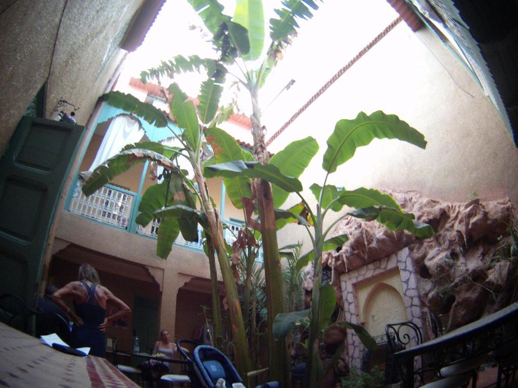 Riad Dar Mchicha Маракеш Екстериор снимка