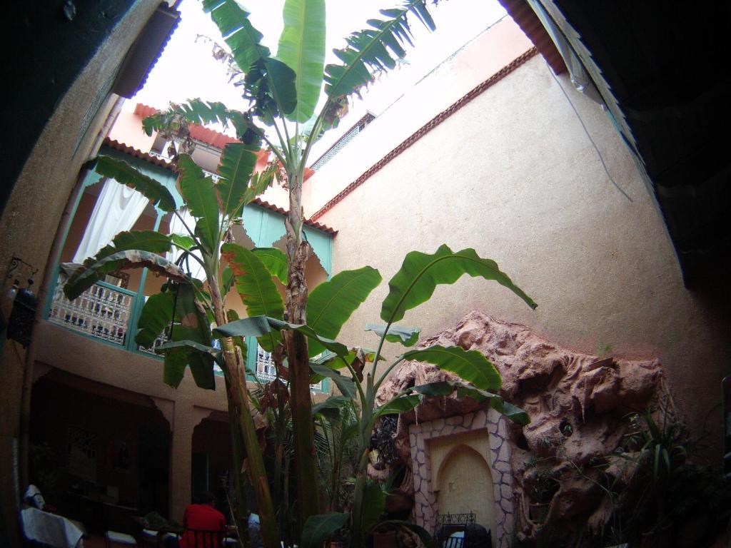 Riad Dar Mchicha Маракеш Екстериор снимка