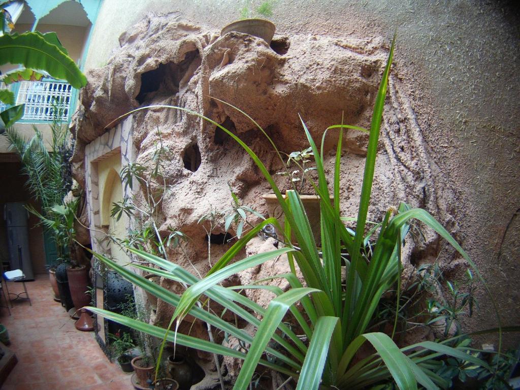 Riad Dar Mchicha Маракеш Екстериор снимка